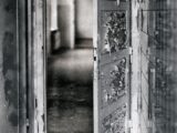 grayscale photography of opened door