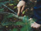 person cutting tree trunks