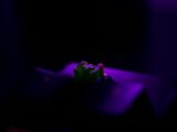 purple light in dark room