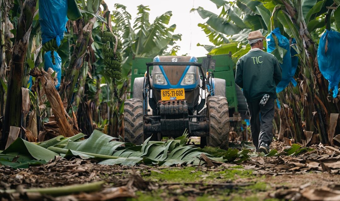Jak zbudować i zoptymalizować farmę zasobów w Satisfactory: Od rudy żelaza po zaawansowane komponenty Jak zbudować i zoptymalizować farmę zasobów w Satisfactory: Od rudy żelaza po zaawansowane komponenty