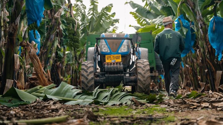 Jak zbudować i zoptymalizować farmę zasobów w Satisfactory: Od rudy żelaza po zaawansowane komponenty