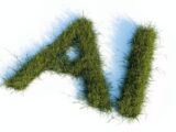 The letters ai made of green grass