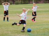 4 women playing soccer on green grass field during daytime