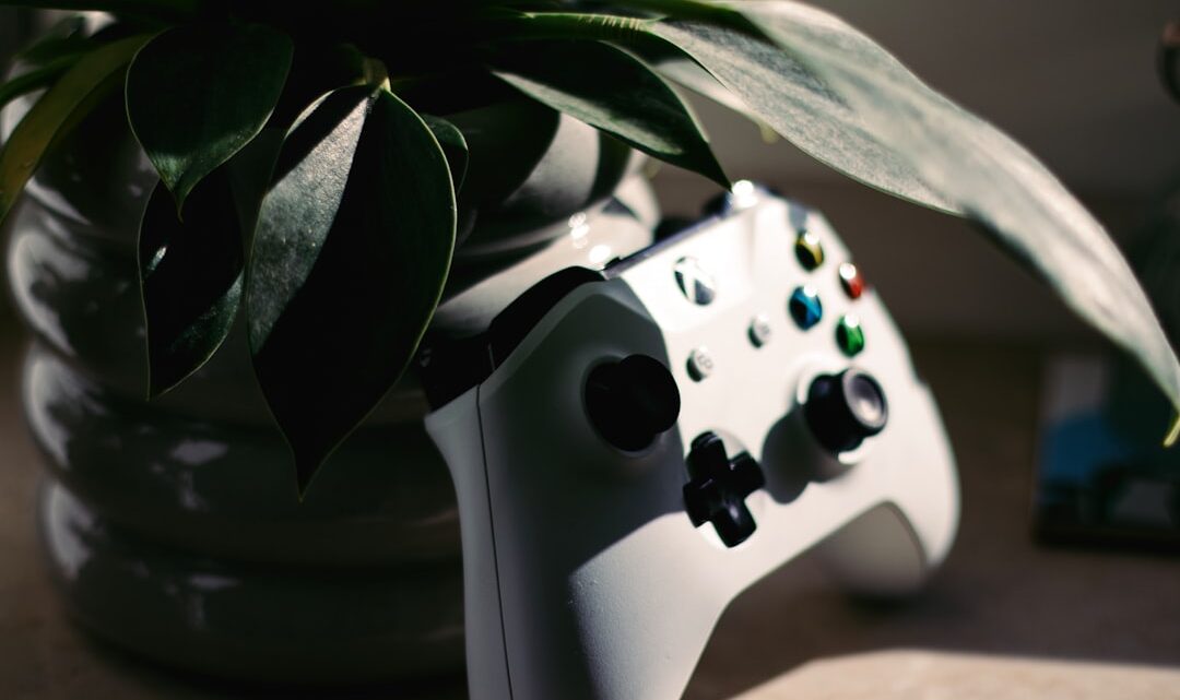 Kafejki internetowe dla graczy: Od LAN do gaming house’ów