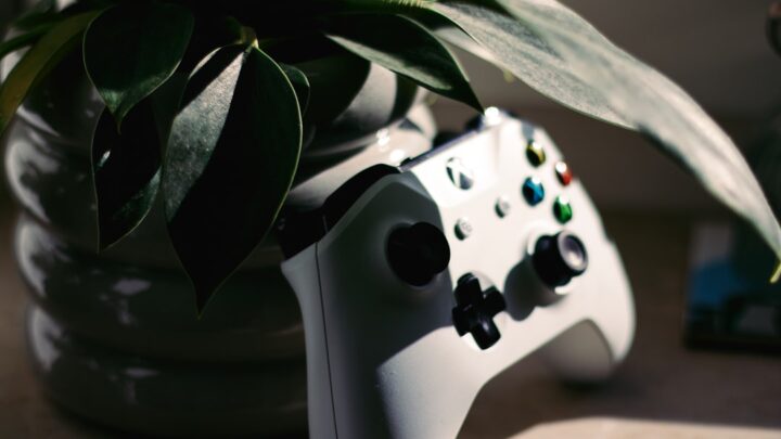 Kafejki internetowe dla graczy: Od LAN do gaming house’ów