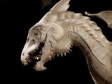 white and brown dragon head
